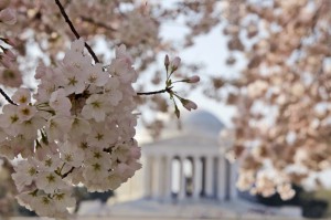 National Healthcare Decisions Day